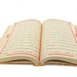 Meva Serisi Metalize Kuran-ı Kerim Hediyelik Seti - Görsel 6