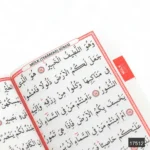 41 Yasin Meali Çanta Boy – Elmalılı Hamdi Yazır Meal Kitabı (80 Sayfa) - Görsel 3