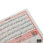 Orta Boy 80 Sayfa 41 Yasin Meali – Elmalılı Hamdi Yazır Meal Kitabı - Görsel 4